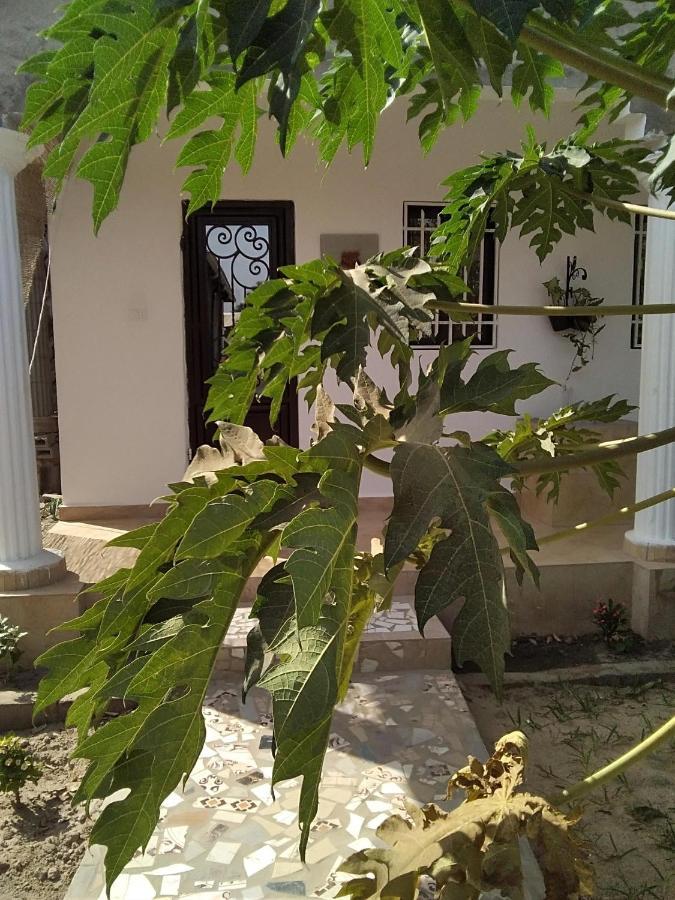 Unique Owl Apartments Sanyang Zewnętrze zdjęcie